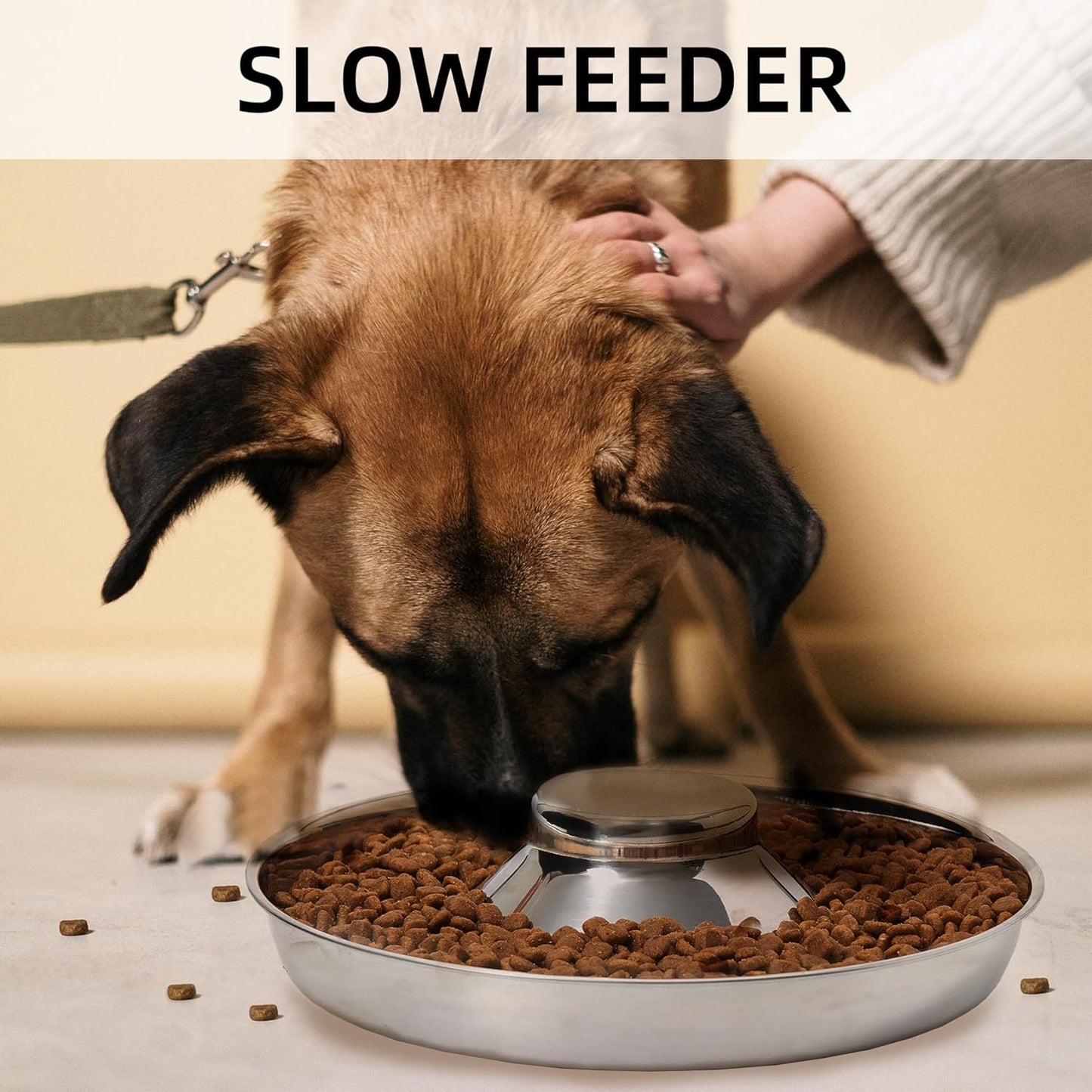 2 Pack Stainless Steel Puppy Bowls, Dog Feeding Bowl | Mush Feeder for Litters, Shallow Weaning for Food and Water, Multiple Dishes